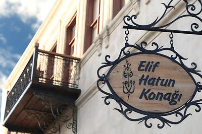 Elif Hatun Konagi - Image 43