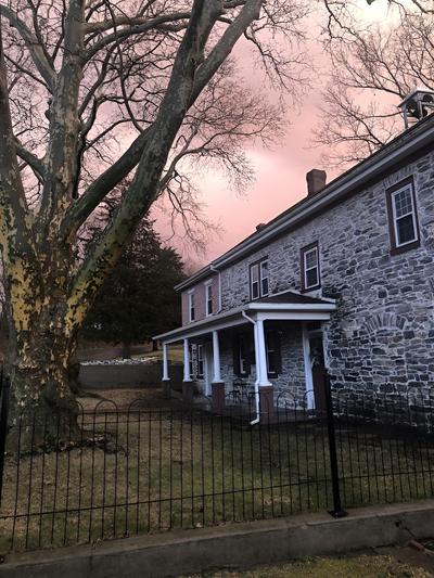 The Avenue Guesthouse and Gallery