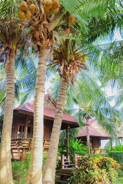 Naya Resort