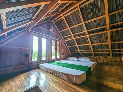 JungleBari Mangrove Resort