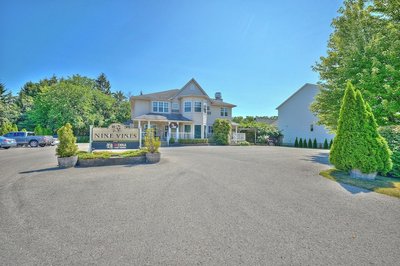 Nine Vines Hotel, Bilde 2