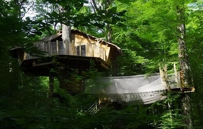 Les Cabanes Du Lac Du Der