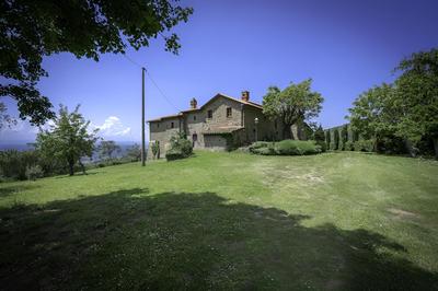 Colle degli Ulivi