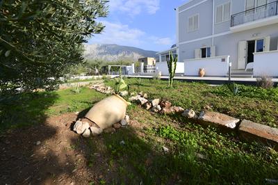 Inkantu B&B