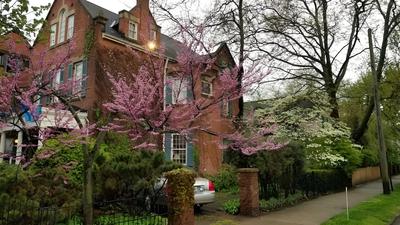 Clifford House Private Home Bed & Breakfast