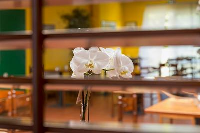 Logis Hôtel Novalis