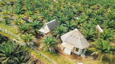 Bugoma Palms Resort Beach and Hotel