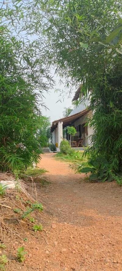 Gondwana Jungle Resort