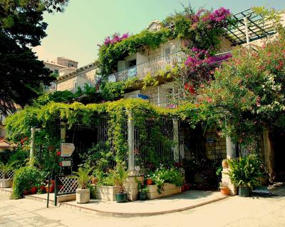 Guesthouse Villa Mlini