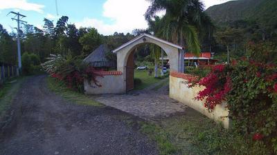 Finca Temática Cafetera Las Mercedes