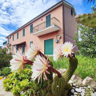 Eco House San Michele