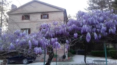 Casale La Fornace