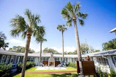The Hotel Palms