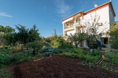The Apartment Consists of two Bedrooms, a Bathroom, a Kitchen and a Living Room