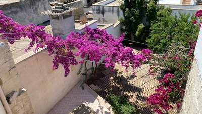 Welcomely - Celi Blu Apartments