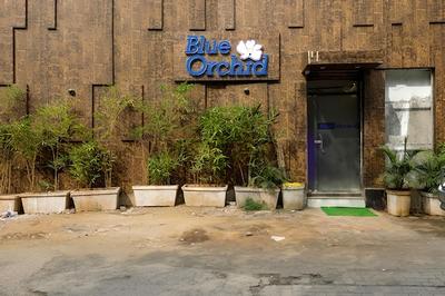 Hotel Blue Orchid