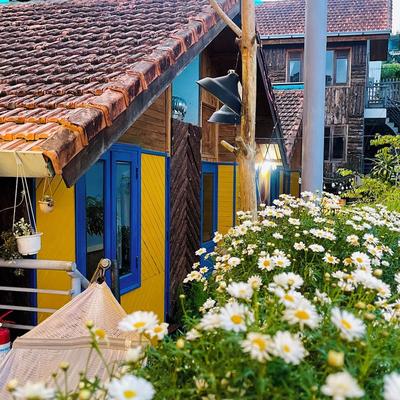 Tomorrow Homestay Da Lat