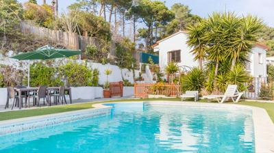 Palmeras in Lloret de Mar