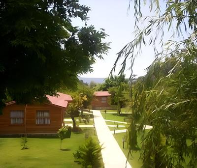 Hidden Garden