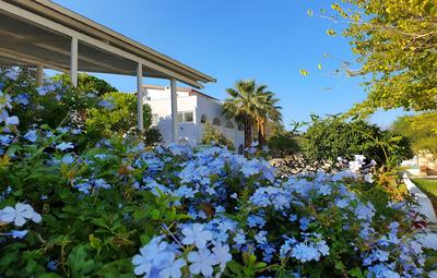 Dilek Agaci Butik Otel