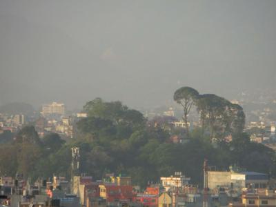 Manamaiju Homestay & Hotel