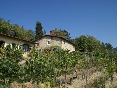 Agriturismo Poggio di Montepescoli - L'aia