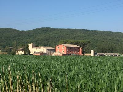 RossoPorpora Agriturismo Colle Cardinale