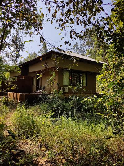 Saccharum Safari Lodge