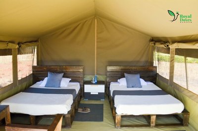 Royal Doves Garden Lake Baringo