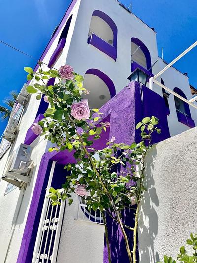 Nassos Butik Otel ve Restaurant