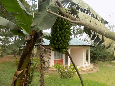 Bettina Resort Hotel