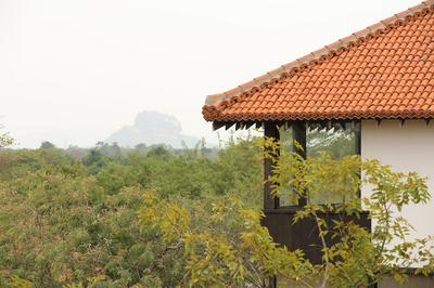 Sigiriya Jungles
