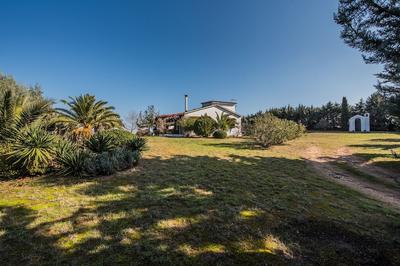 Villa Athena by halu! Villas