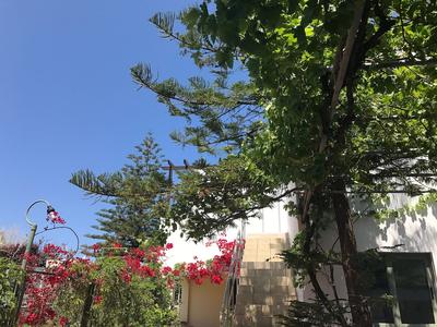 Oleander Apartments