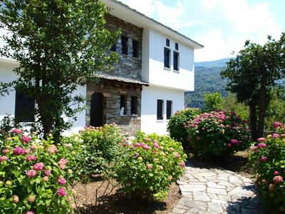 Apartment Zoe Pelion
