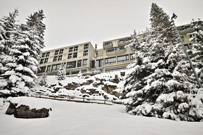 Terminal Neige - Totem