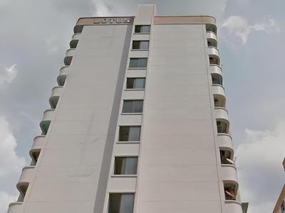 Lotus Condo Downtown