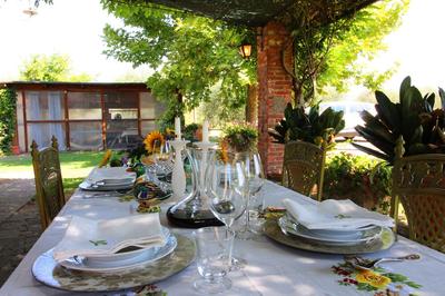 Private Villa With Wifi, Private Pool, TV, Veranda, Pets Allowed, Parking, Close to Cortona