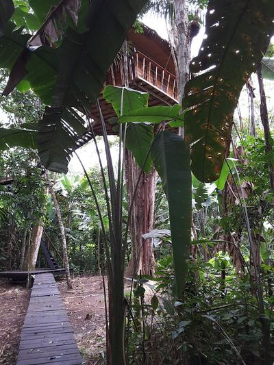 Hotel Pulmon del Mundo