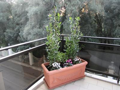 Corso 194 Bed and Breakfast