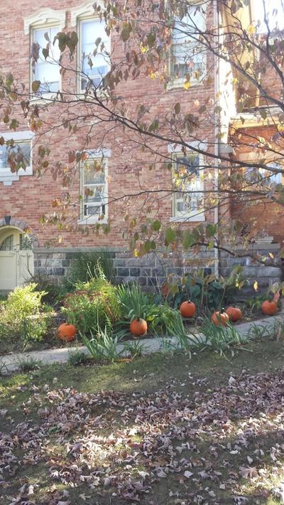 Rose Corner Inn