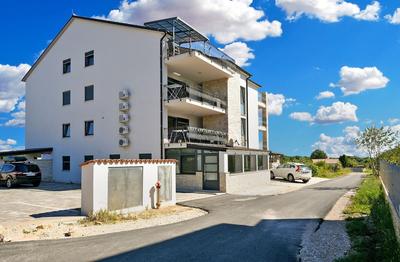 Apartment 1955
