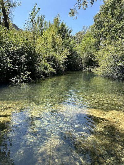Ostal de la placette