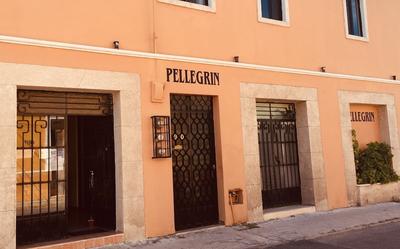 Hotel Casa Pellegrin