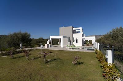 Domus Oliva