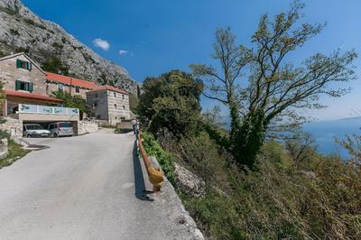 House Darijo
