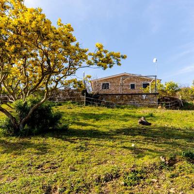 Le Mimose 2 Bedroom 6 Pax