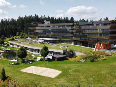 Hotel AVIVA make friends - Singles only