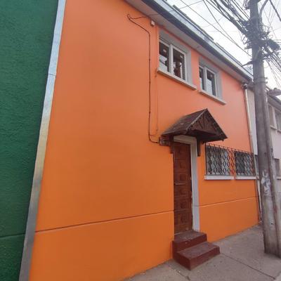 Hotel Gatos de campo tiernos y traviesos