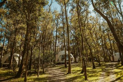 Big Bang Nature Stays